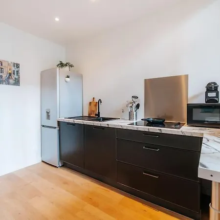 Vieux Village * Lille